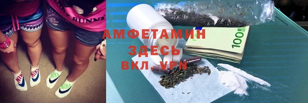 индика Гусиноозёрск