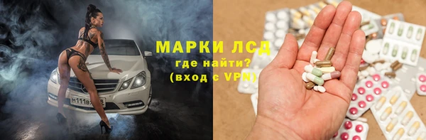 прущие крисы Горняк