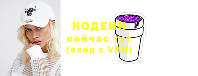 спиды Гусев