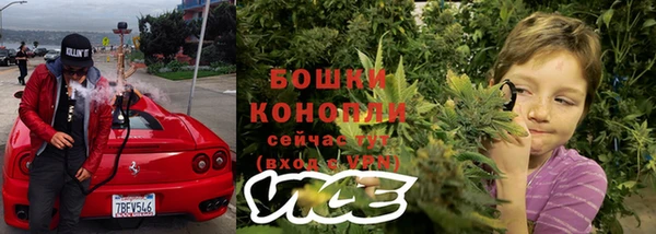 гидра Горно-Алтайск