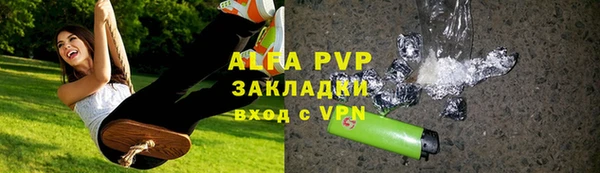 индика Гусиноозёрск
